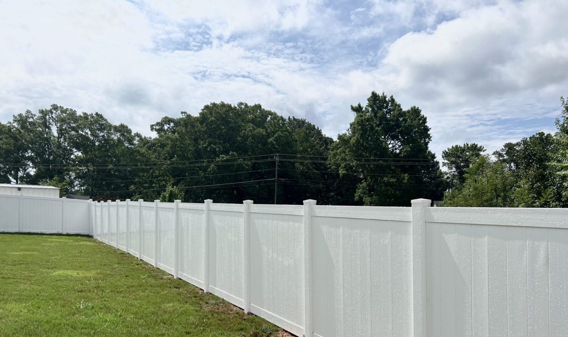 tall white fence with grass 3