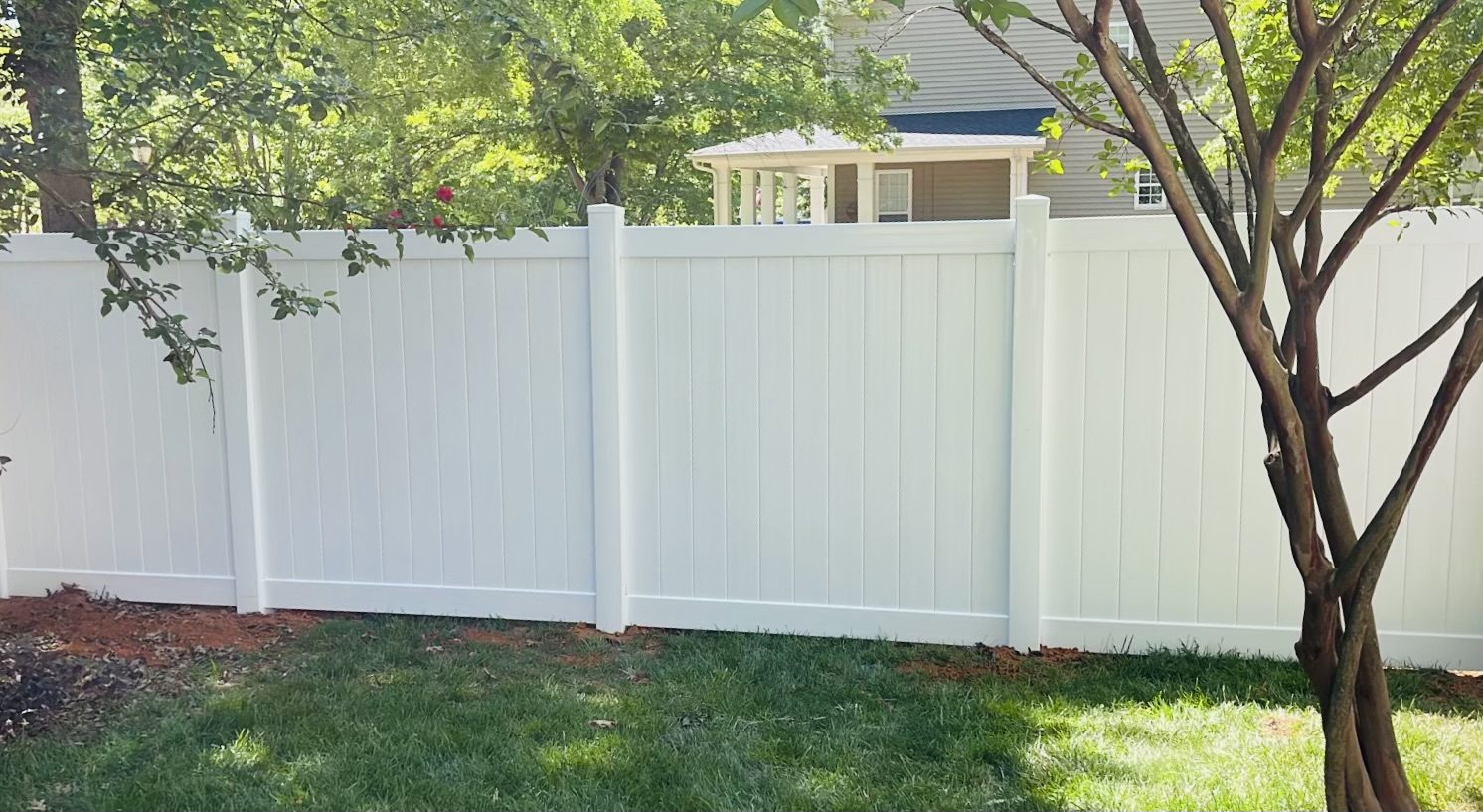 tall white fence view from trees